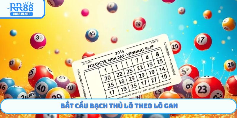 Bắt bạch thủ lô theo gan