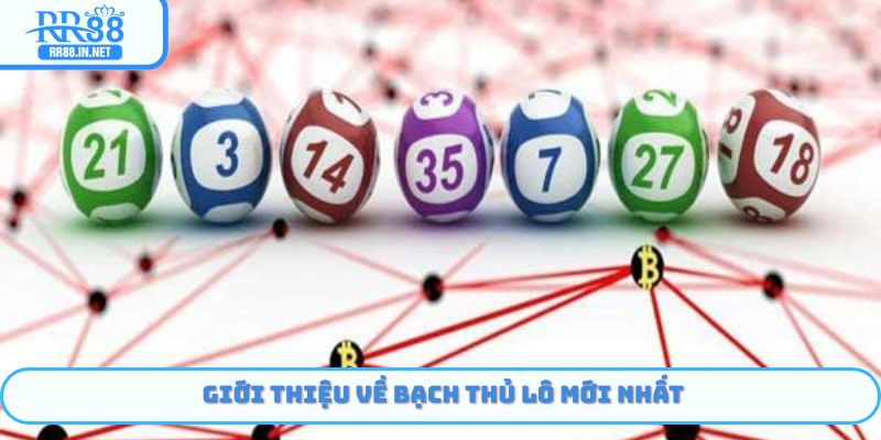 Giới thiệu bạch thủ lô