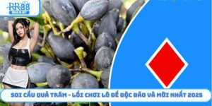 Soi Cầu Quả Trám - Lối Chơi Đề Độc Đáo Và Mới Nhất Năm 2025